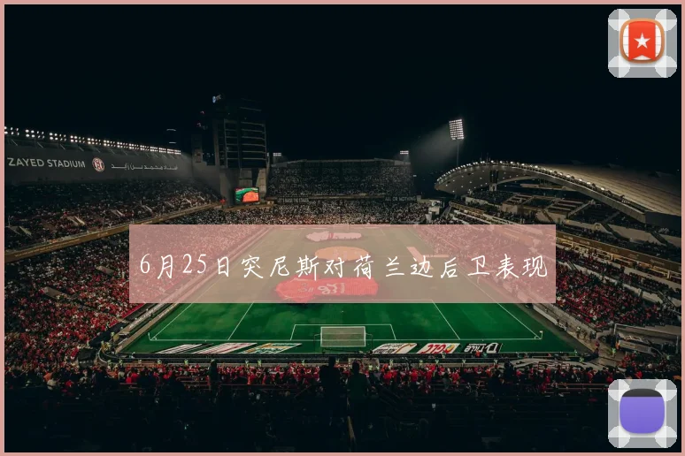 6月25日突尼斯对荷兰边后卫表现