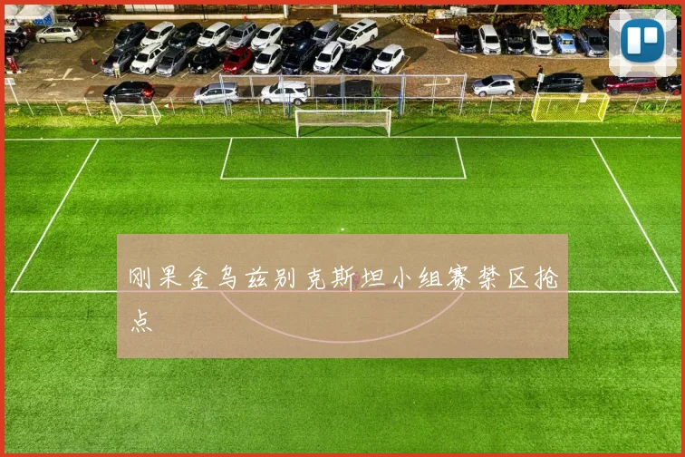 刚果金乌兹别克斯坦小组赛禁区抢点