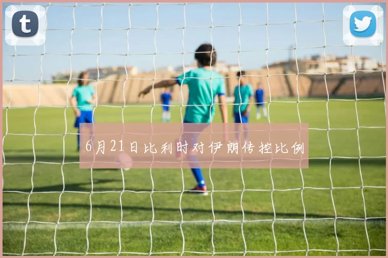 6月21日比利时对伊朗传控比例