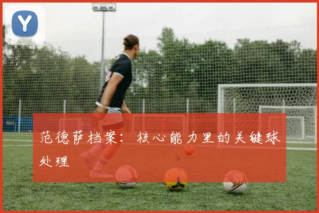 范德萨档案：核心能力里的关键球处理