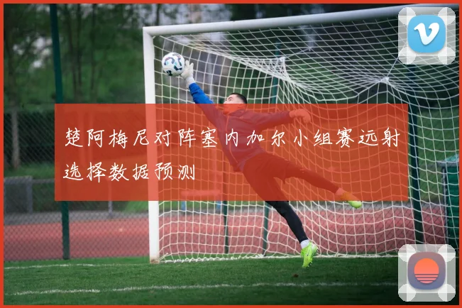 楚阿梅尼对阵塞内加尔小组赛远射选择数据预测