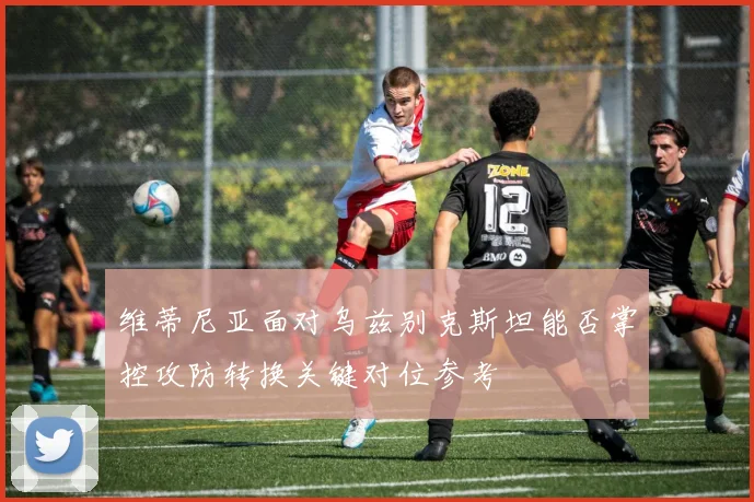 维蒂尼亚面对乌兹别克斯坦能否掌控攻防转换关键对位参考